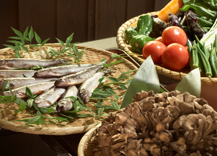 魚沼の食材
